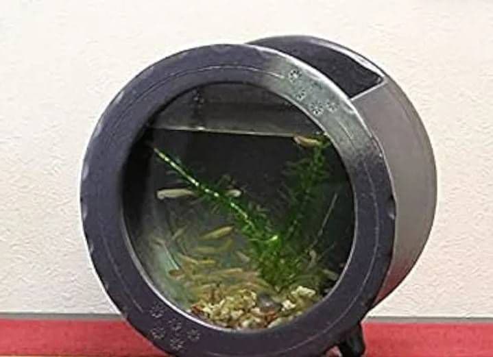 円形陶器メダカ鉢 小型