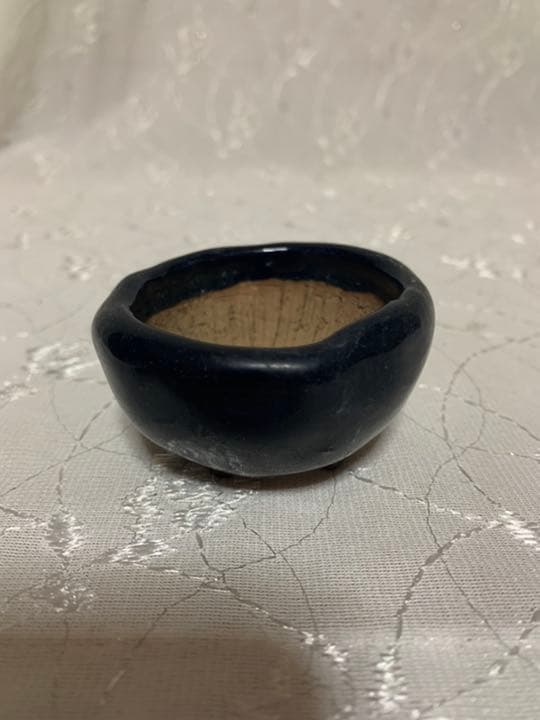 初代東福寺　盆栽鉢