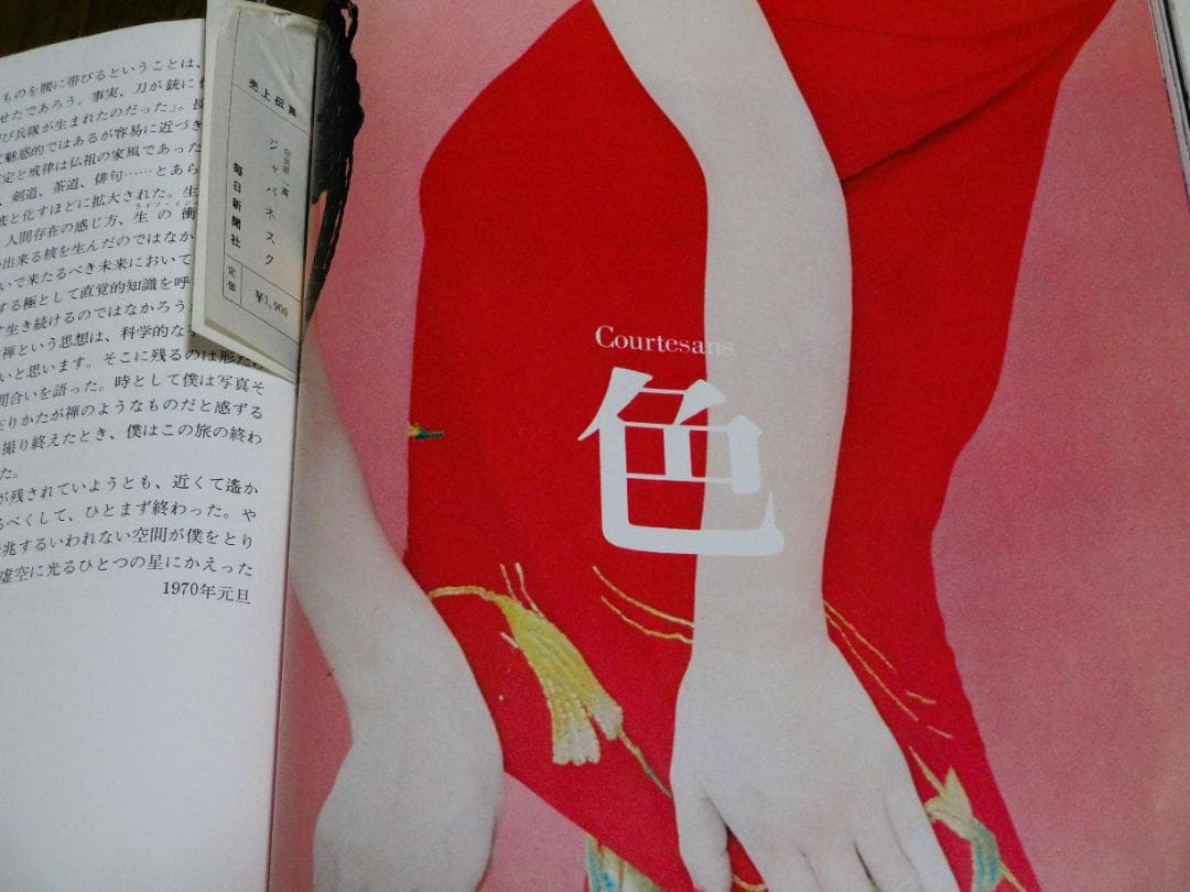 JAPANESQUE　ジャパネスク　 奈良原一高