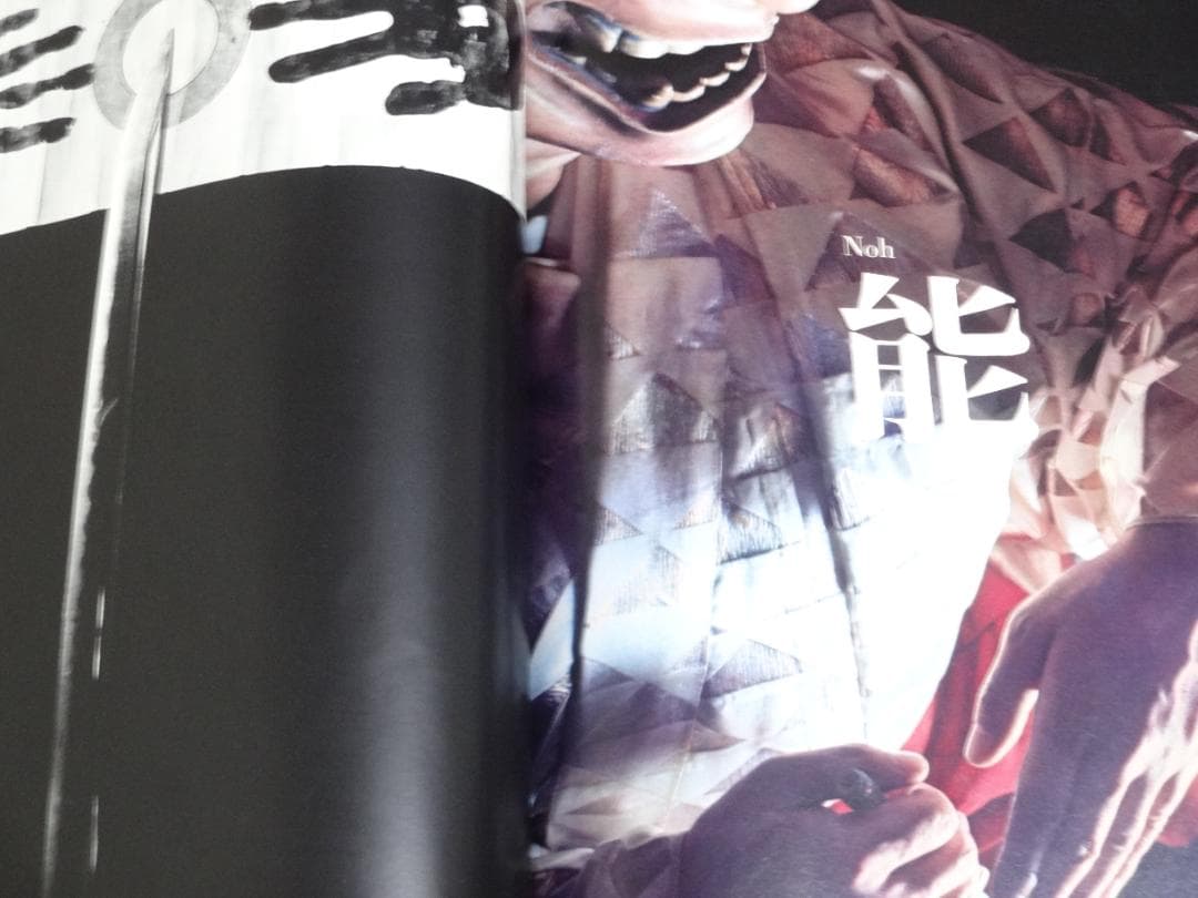 JAPANESQUE　ジャパネスク　 奈良原一高