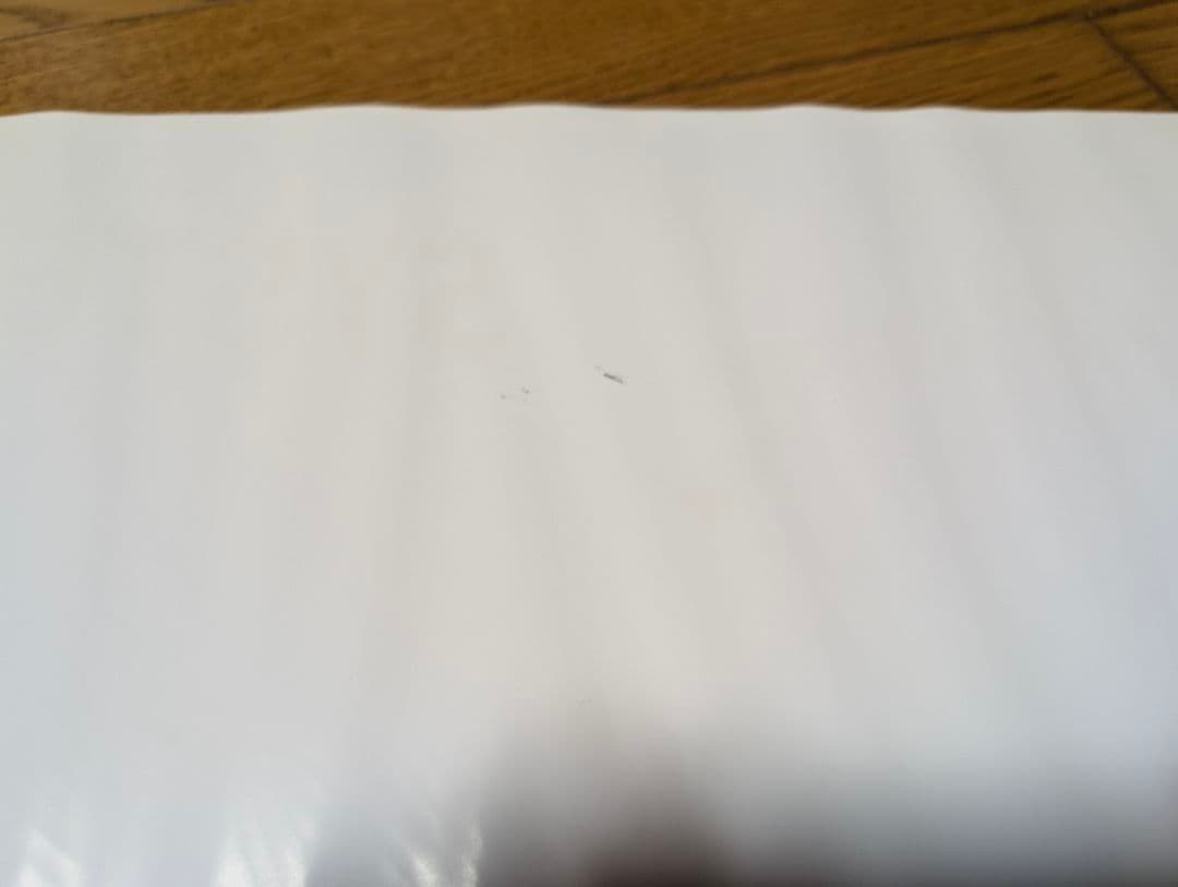 System of a down 直筆 サイン ポスター