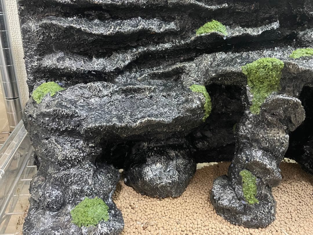 爬虫類レイアウト用品　グラスハーモニー　グラステラリウム　爬虫類ケージ