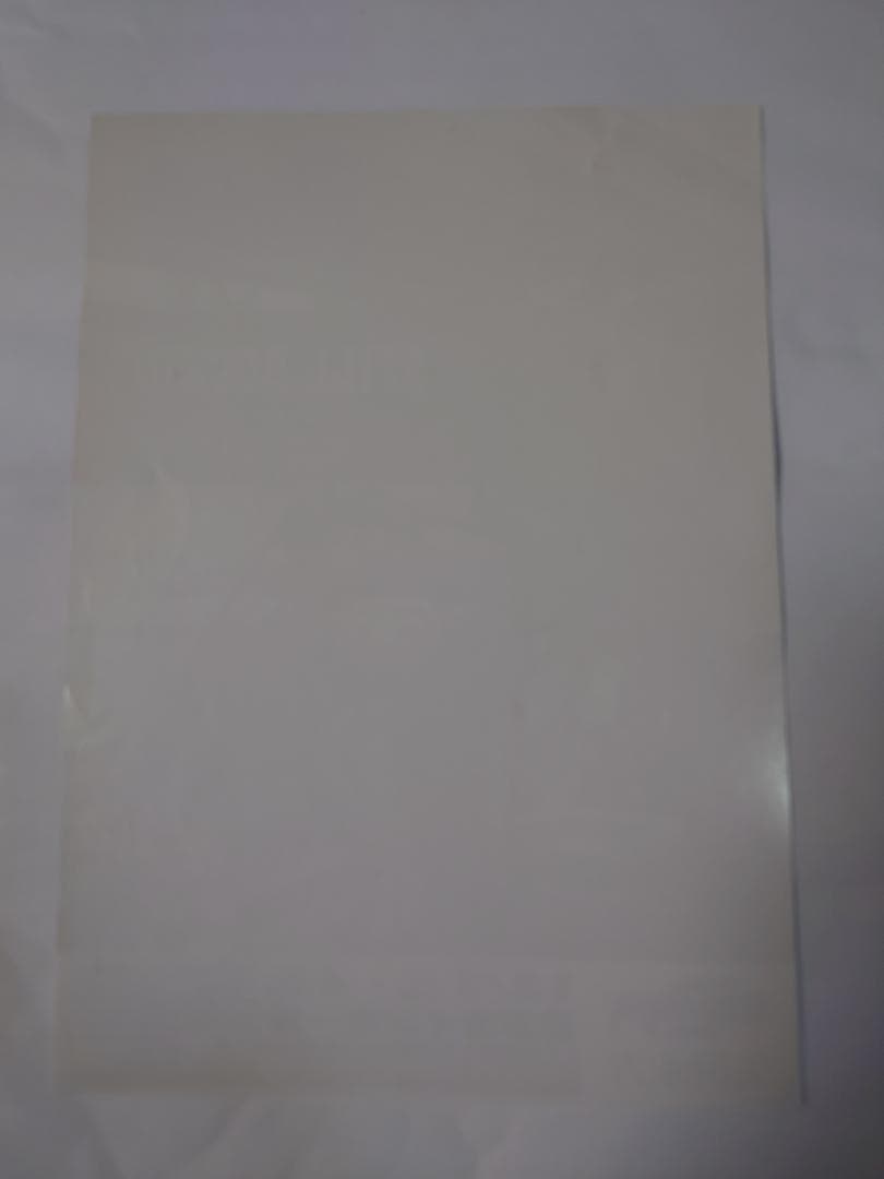 ★矢沢永吉・2011年・日本ガイシホ－ル・B5サイズチラシ