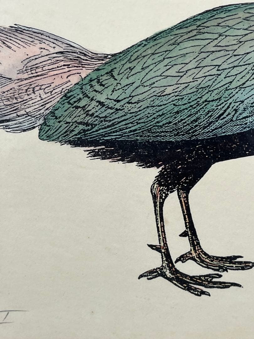 額入り水彩画壁掛け 孔雀 Geucled Plumes 1280