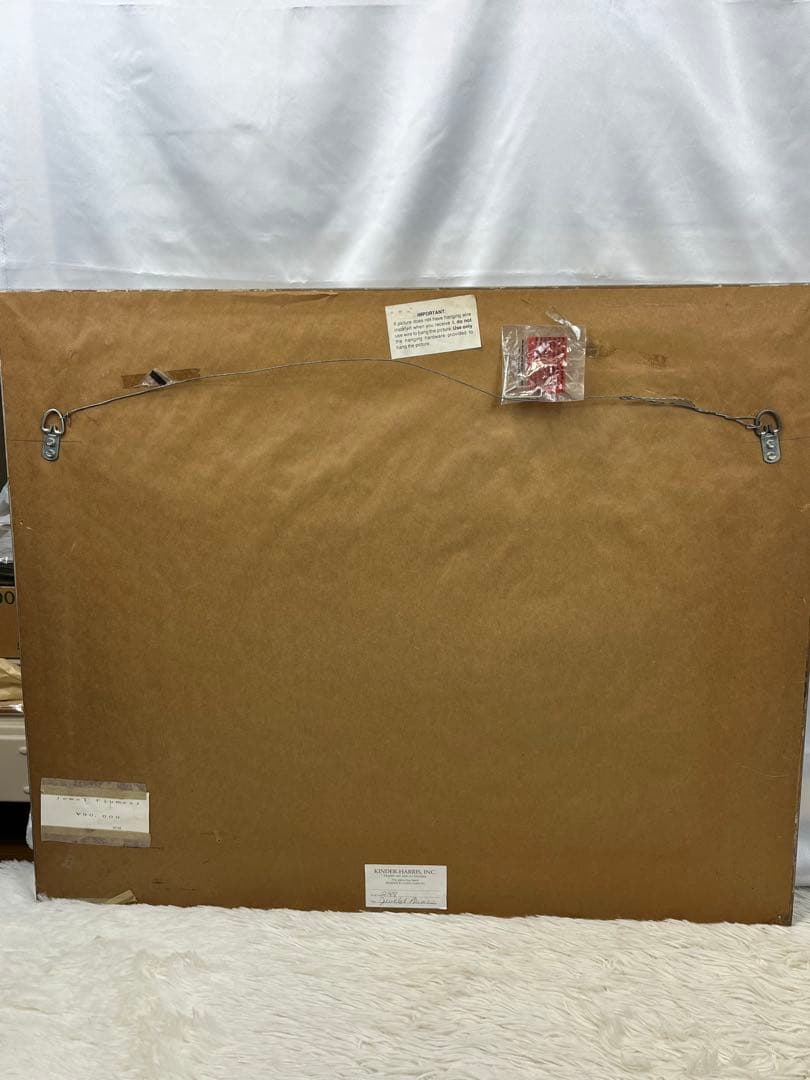 額入り水彩画壁掛け 孔雀 Geucled Plumes 1280