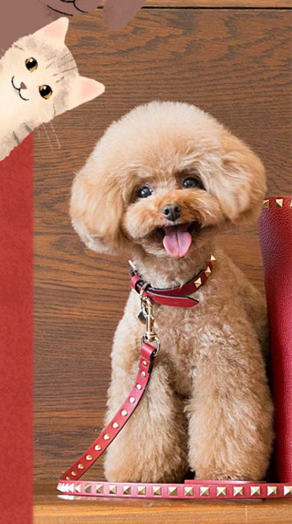 ❤️ヴァレンティノ❤️新品　ガラヴァーニ　ペット　 犬用　首輪　スタッズ