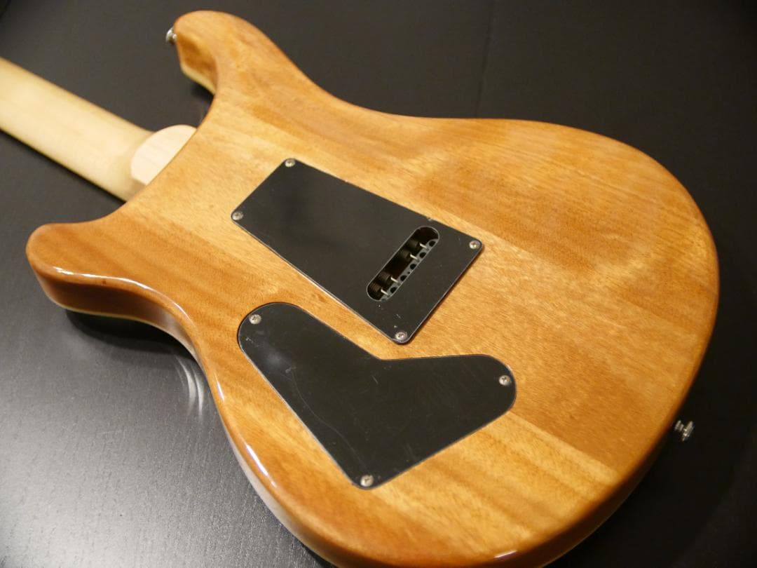 PRS SE Custom 24 セット ケース付