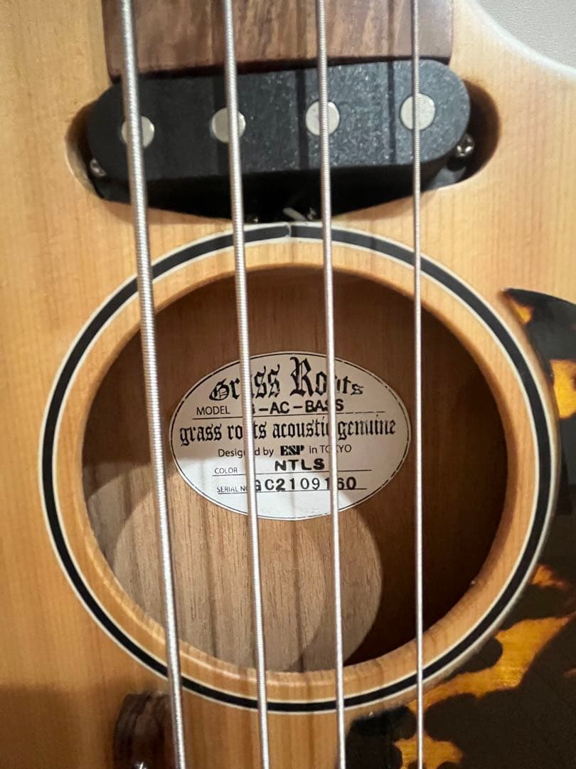 Grass Roots AC-BASS アコースティックベース