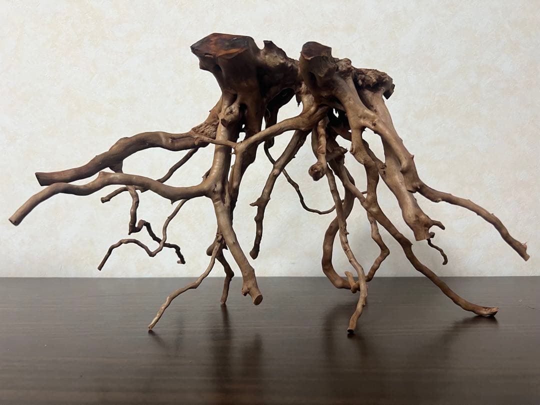 32625 ブランチウッド　流木　アクアリウム 沈水確認済