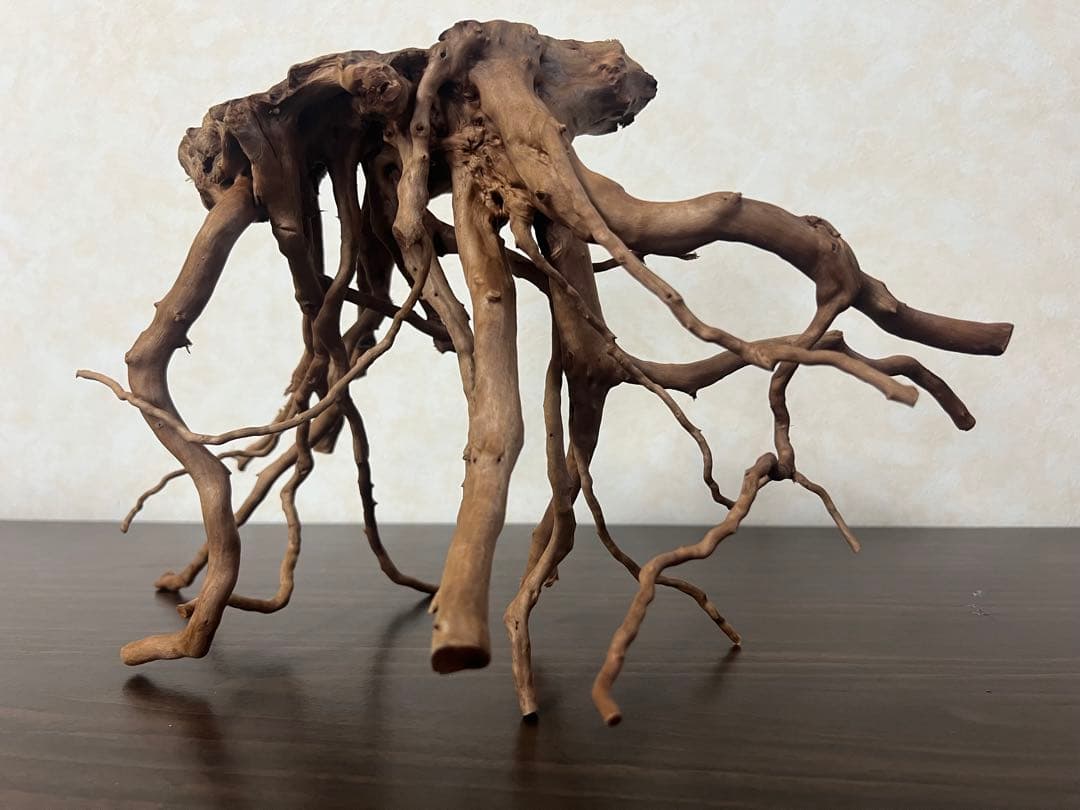 32625 ブランチウッド　流木　アクアリウム 沈水確認済