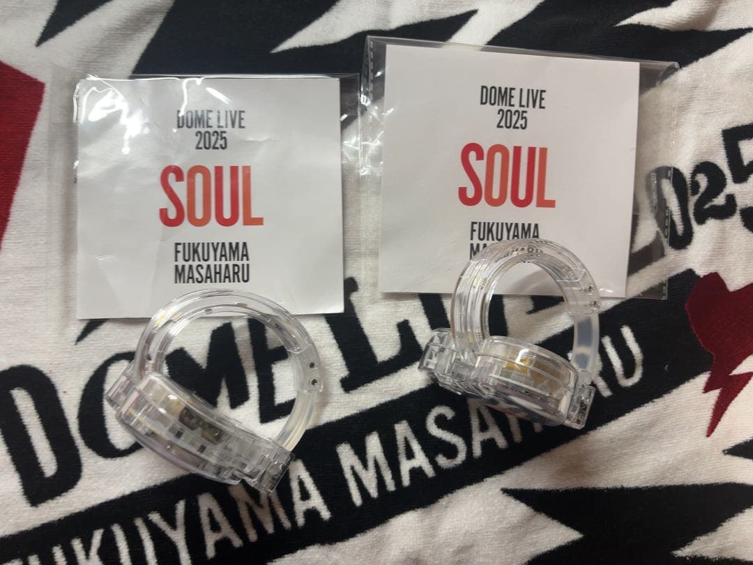 福山雅治　ドームライブ2025 ライトバングル　ペンライト ハート型　2個