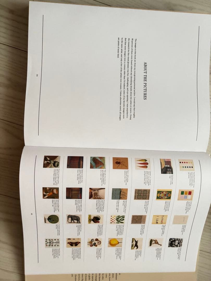 JOHN DERIAN ジョンデリアン　ピクチャーブック　ブック