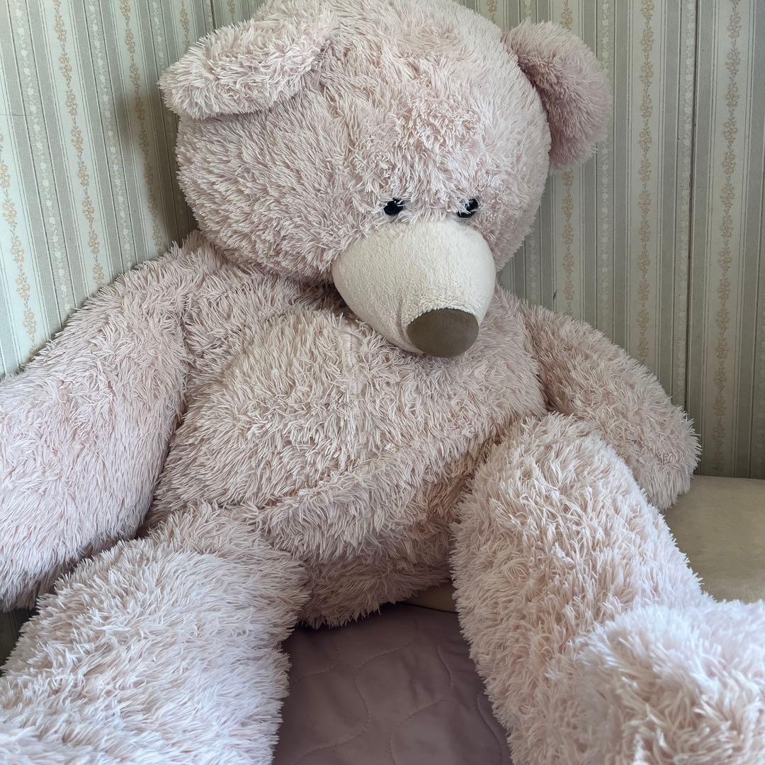 コストコのツキノワグマ