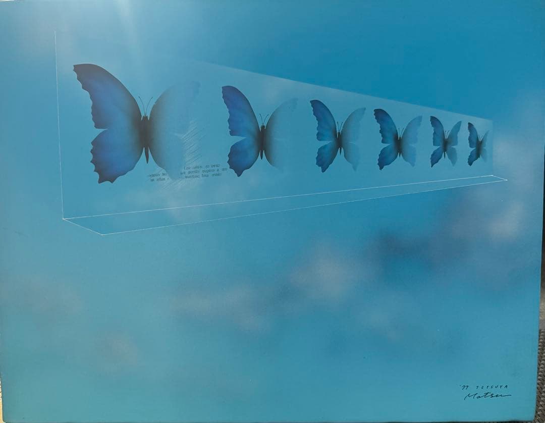 松哲也　時空　蝶の変化を描いたアート作品　送料込み0321