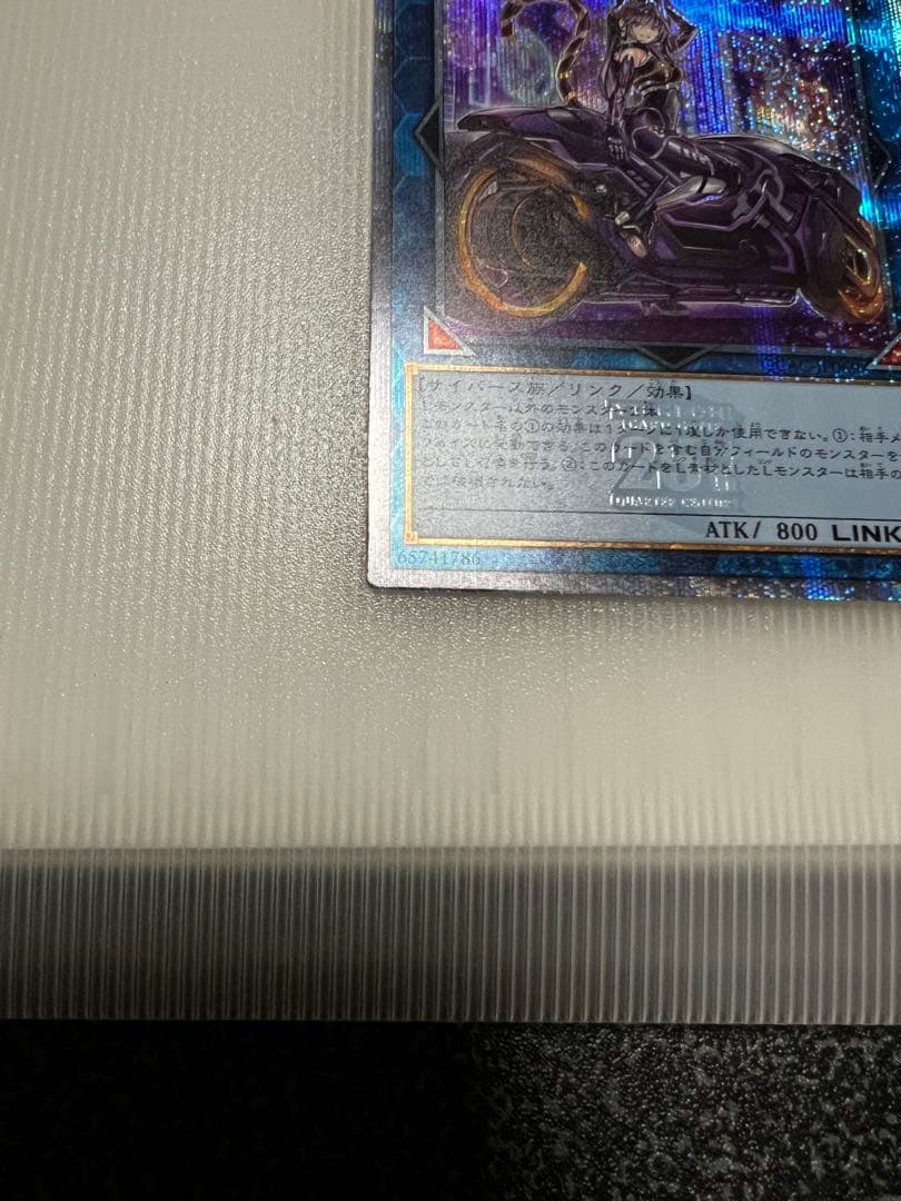 遊戯王　I:Pマスカレーナ　25th クオシク　QCシク