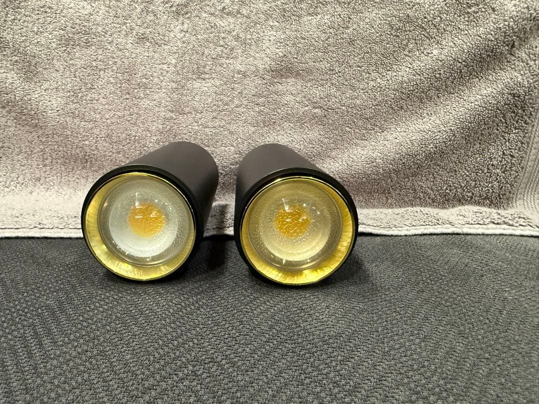 エジソンスマート Wi-Fi対応 LEDスポットライト 2個セット