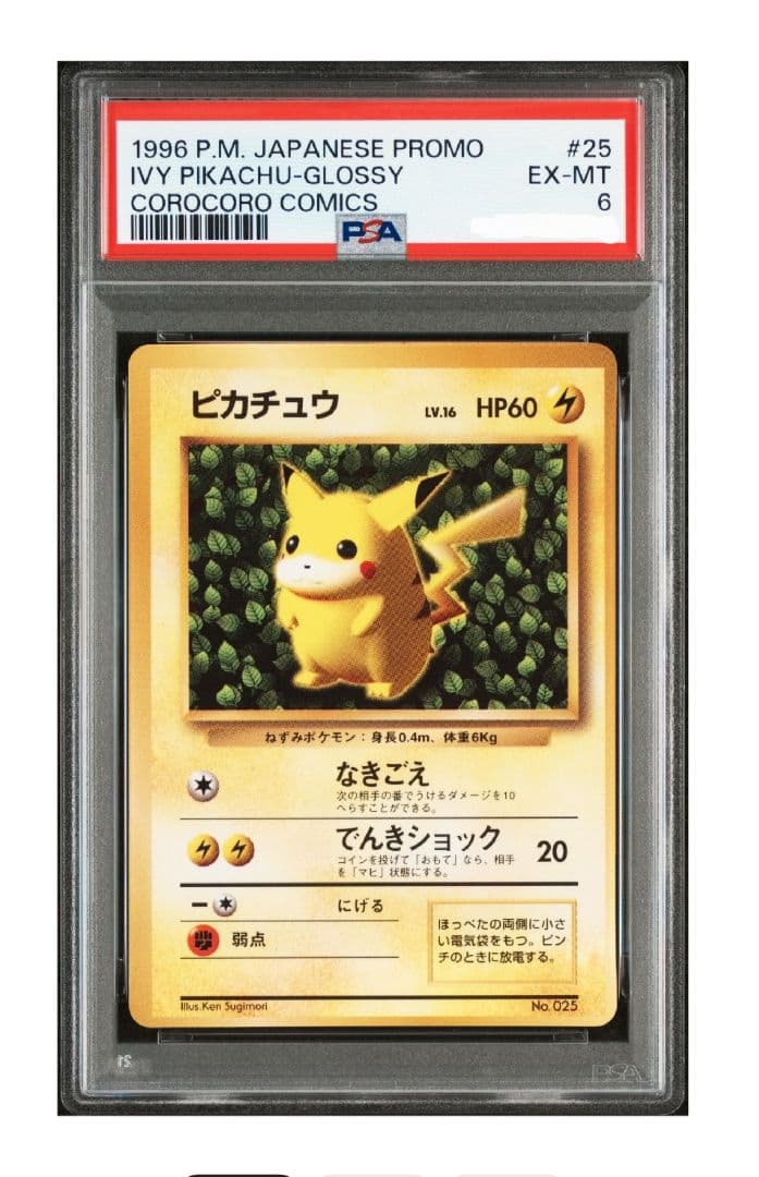 旧裏ピカチュウコロコロコ1996年ポケモン glossy ivy pikachu