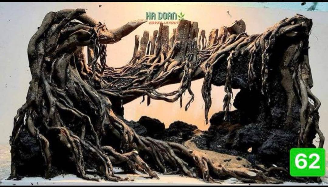 盆栽流木　　水草用の 流木。流木アクアリウム　パルダリウム　マシンガンウッド