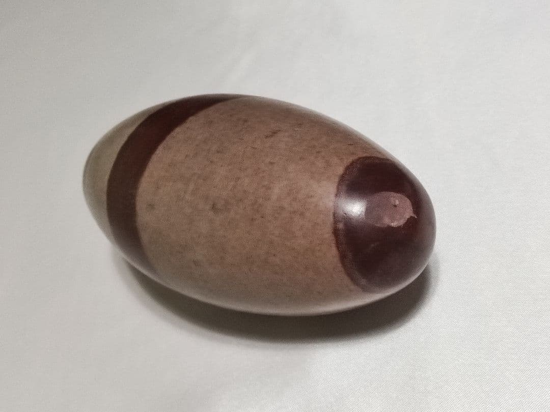 パワーストーン　天然石　希少石　シバリンガム　542g　No.260