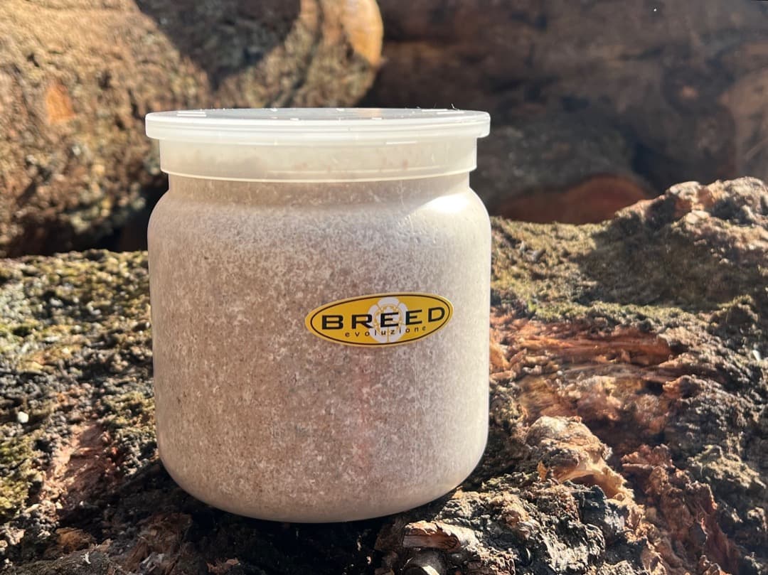 BREED　NEW1500菌糸ビン　6本　m0328y様