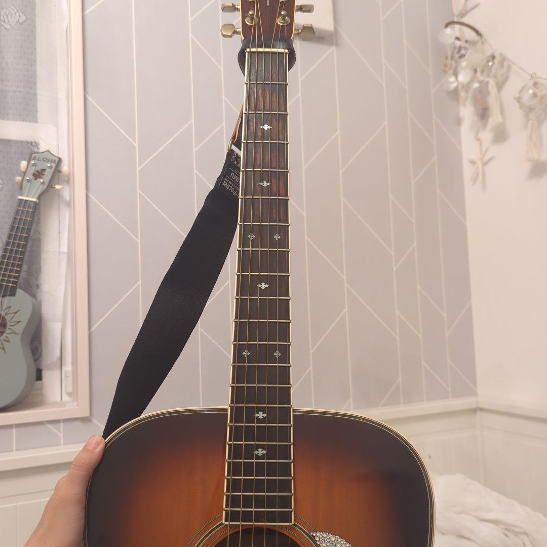 Gull's Eye 3 アコースティックギター