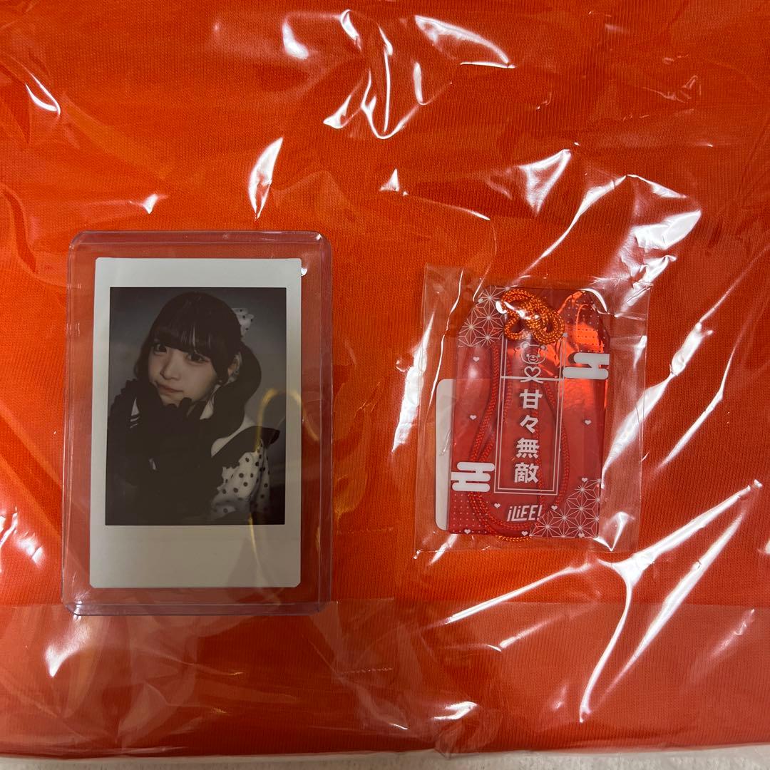 小熊まむセット