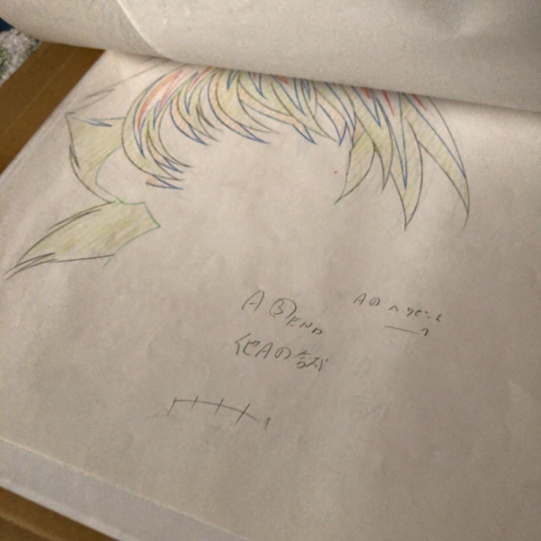 大判　生動画　生原画　タイムシート　セット　ハイスクールD×D　約44枚