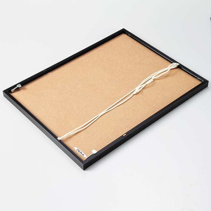 アルフレーム 写真額縁 外枠51cmX40cm　内枠マット自由サイズ 黒 10枚