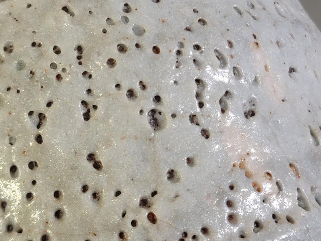 茶道具 鼠志野 水指 塗替蓋 共箱 DT475