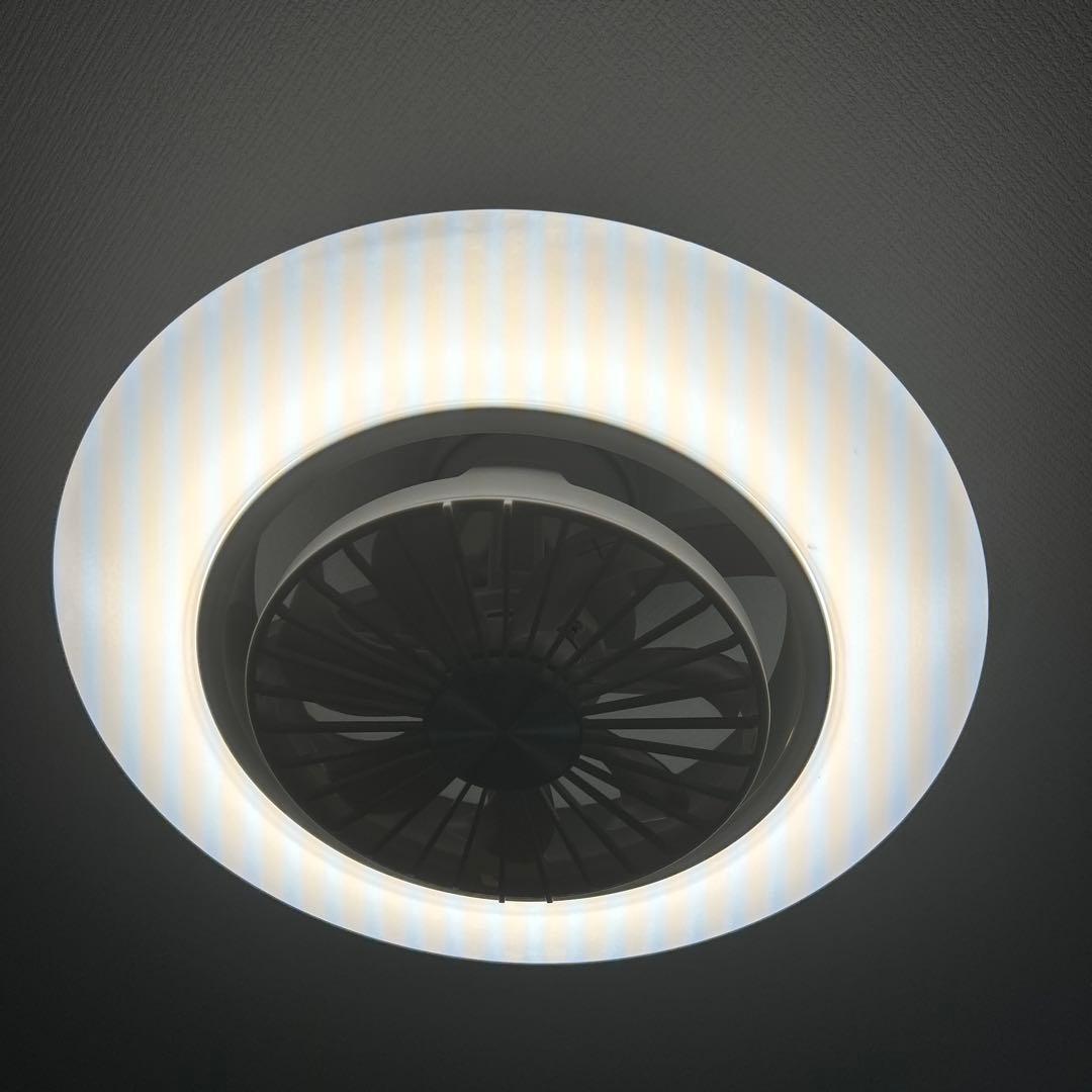 DOSHISHA サーキュライト スイングモデル DCC-SW08EC 8畳用