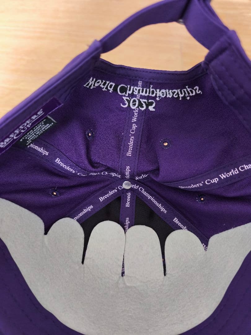 ブリーダーズカップ フォーエバーヤング キャップ 2025 競馬