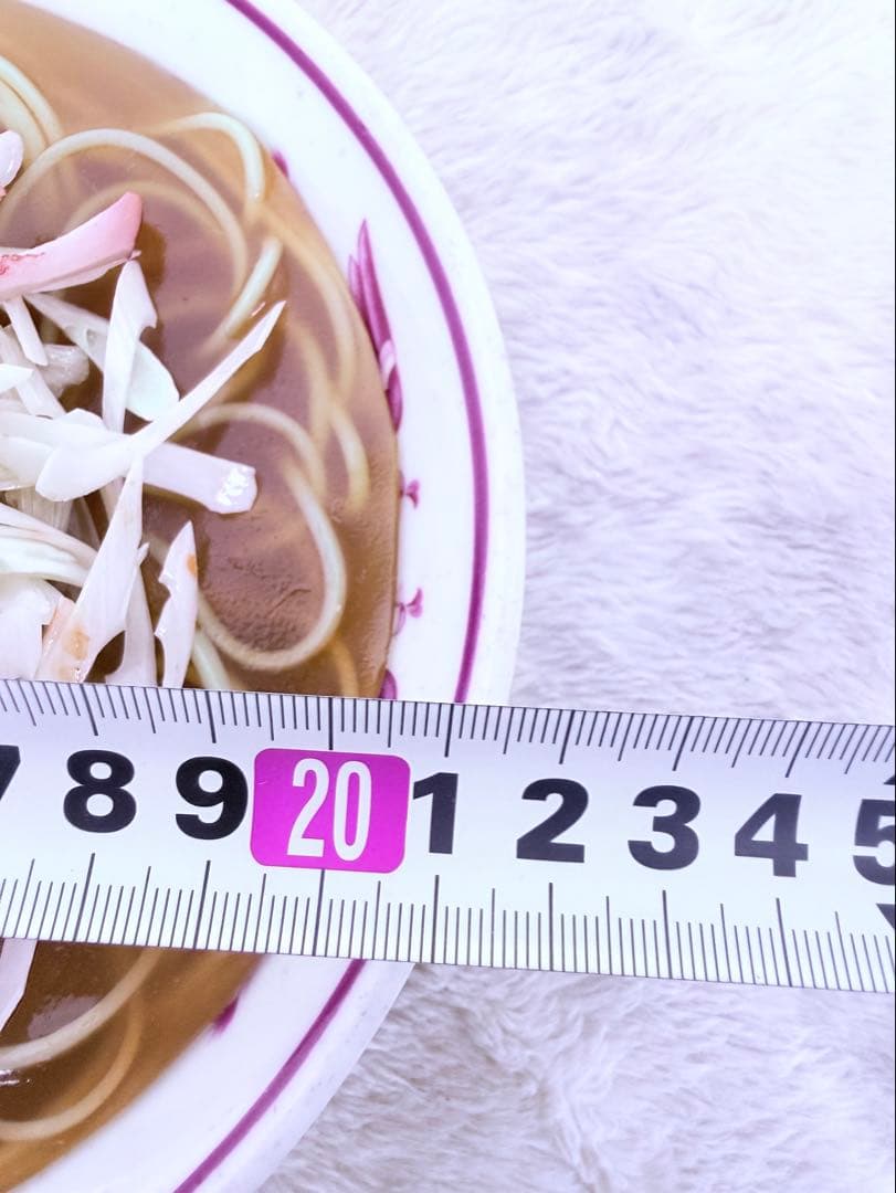 貴重品♪ 昭和レトロ食品サンプル ネギラーメン 直径21.5cm