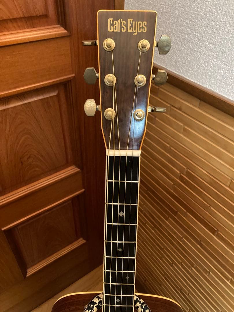 cat's eyes CE500アコースティックギターヴィンテージハードケース付