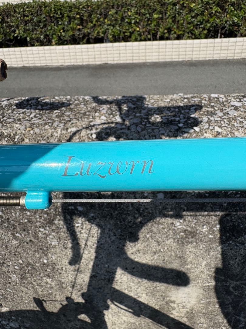 Bruno Luzwrn 20インチ 16段変速