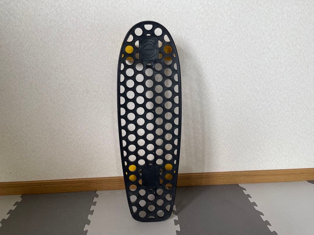 (ランダー)  LANDER 24.5インチ  RIO ミニクルーザー