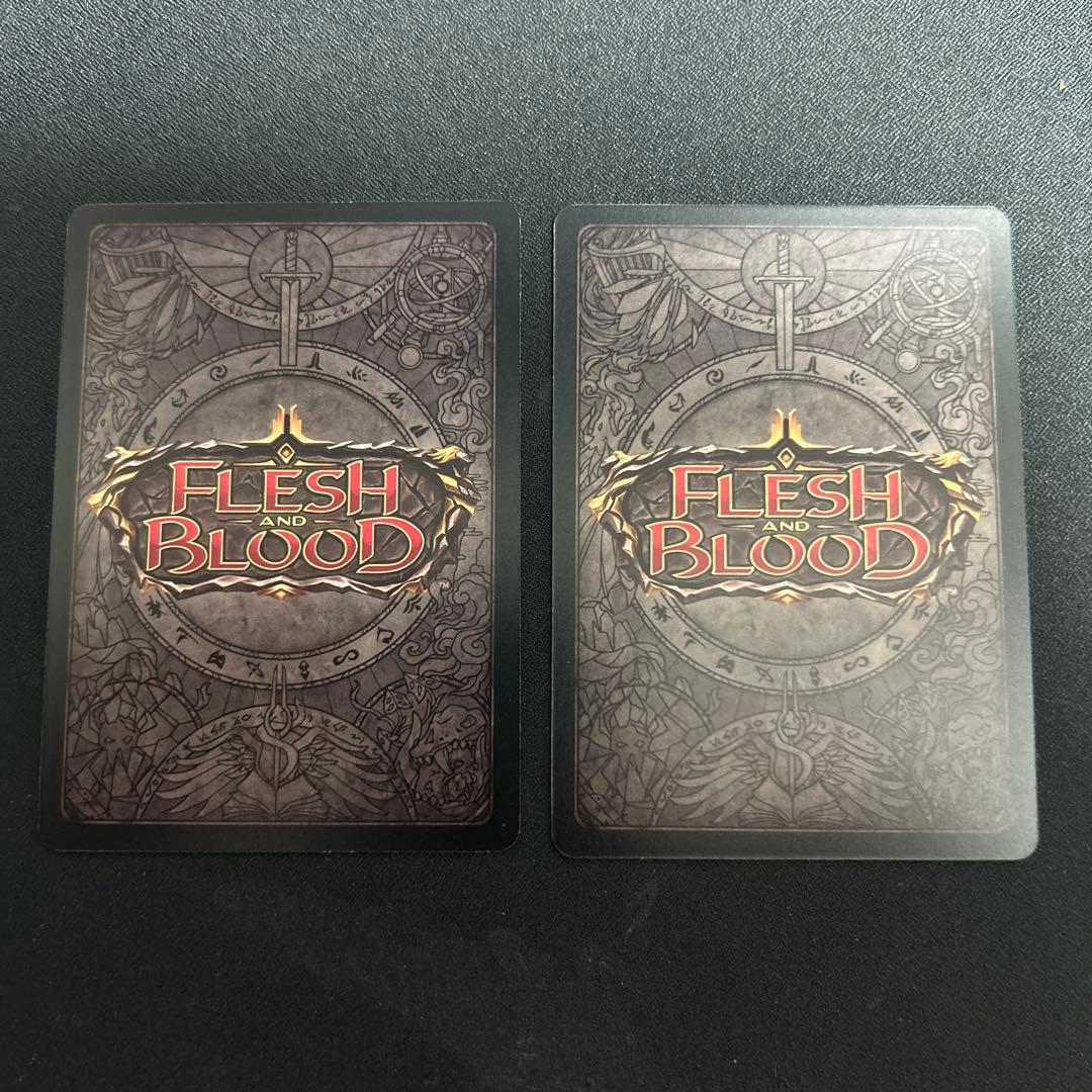 征服の命令 nf 英　2枚セット　FaB Command and conquer