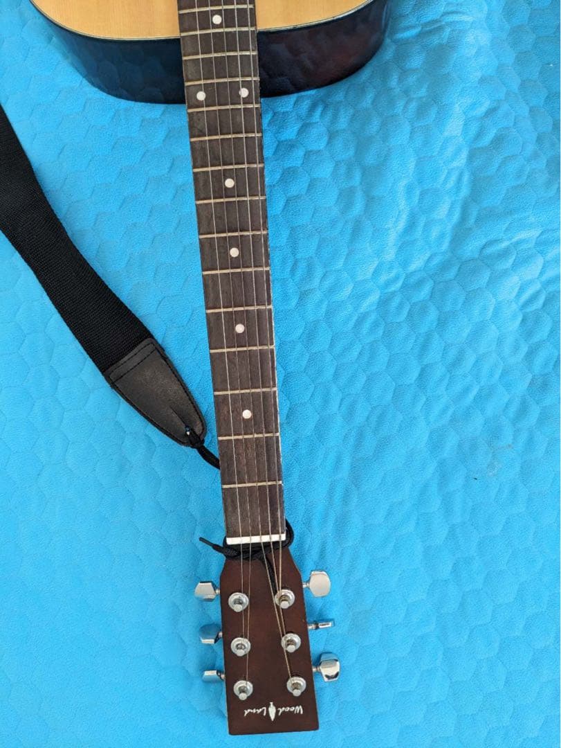 アコースティックギター WG-O