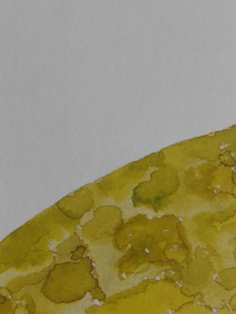 奥田瑛二、希少な額装用画集より、新品額装付、状態良好