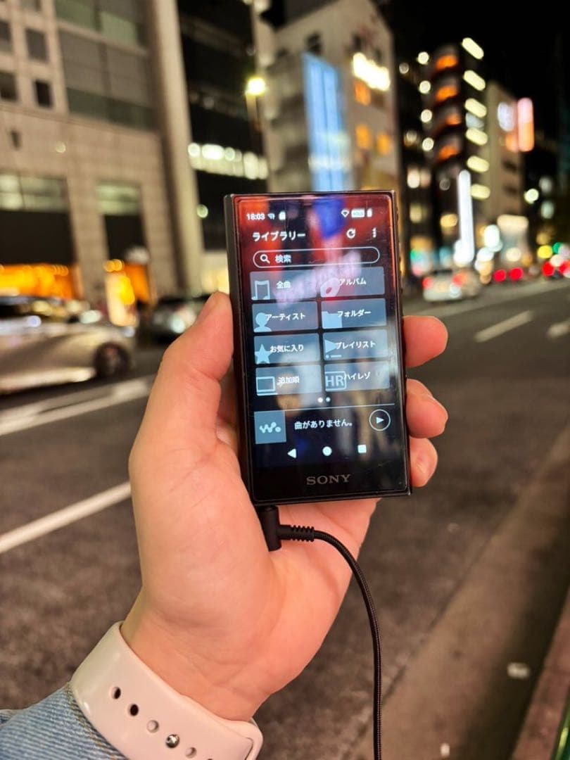 SONY Walkman NW-A306 （32GB）