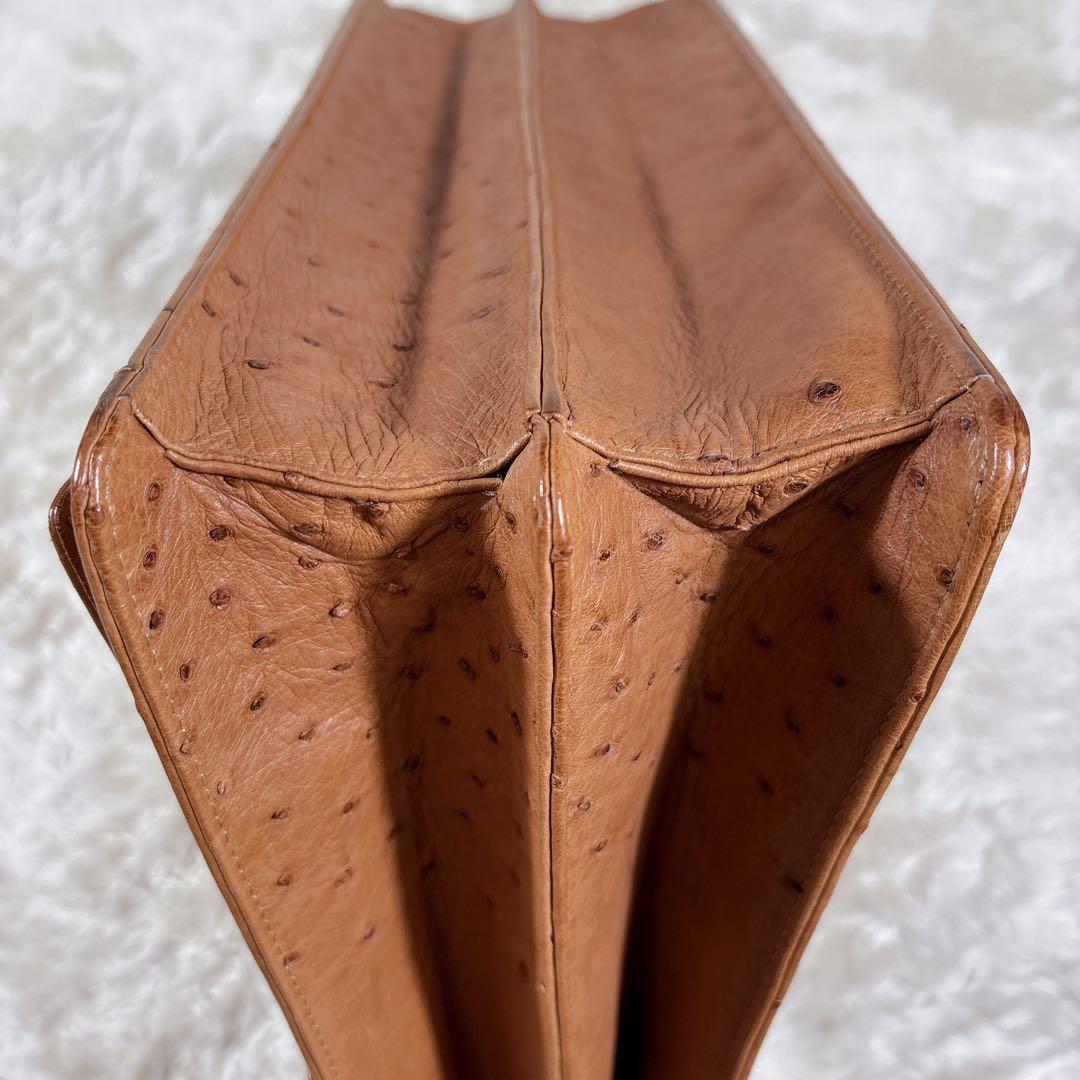 ビジネスバック オーストリッチ エキゾチックレザー JRA