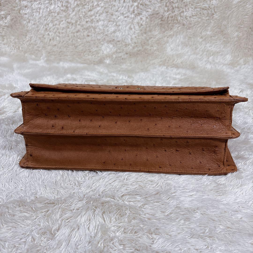 ビジネスバック オーストリッチ エキゾチックレザー JRA