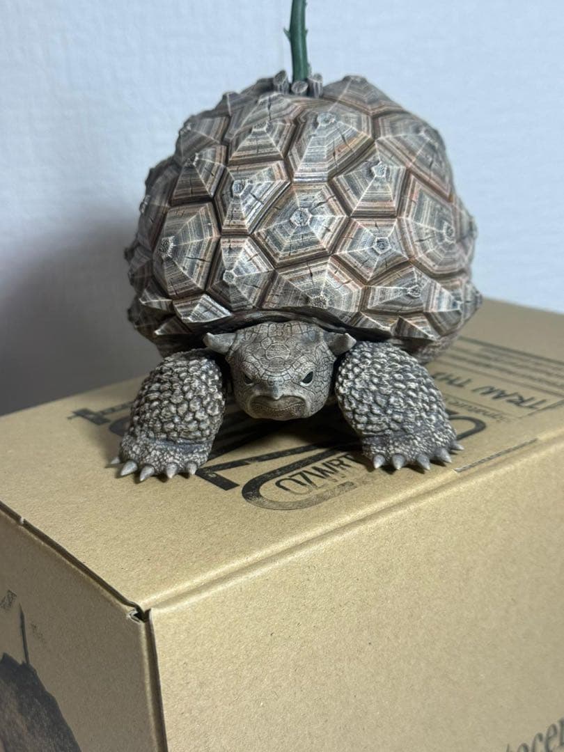 新品　ozwrt Dioscorea Nasutoceratops