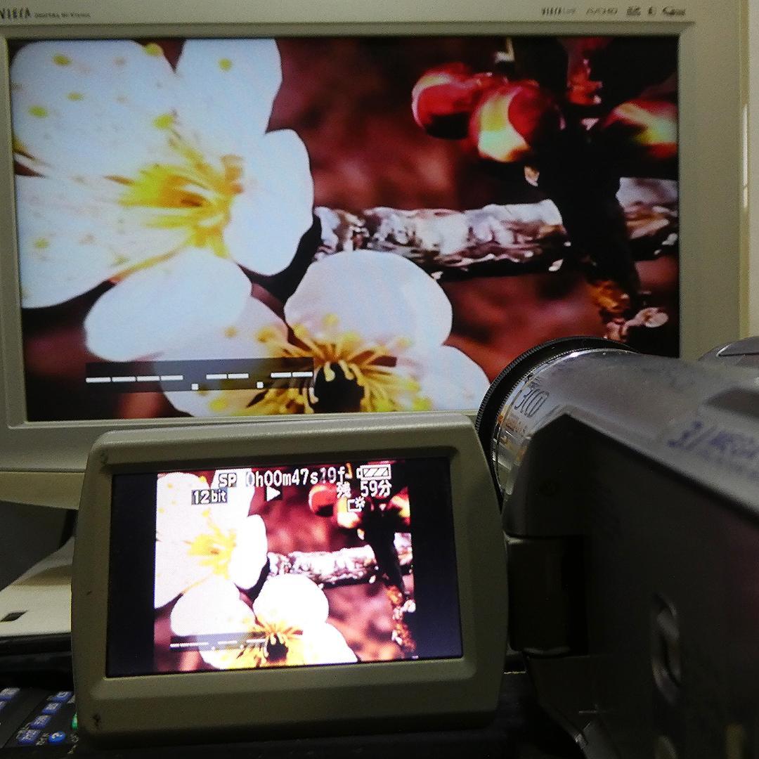 動作良好 パナソニック NV-GS300 MiniDVビデオカメラDVD化に最適