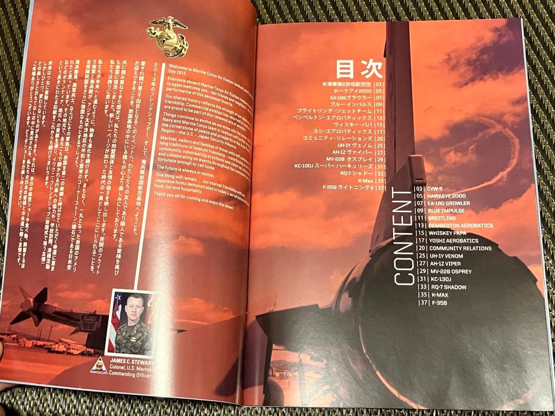 【超レア】2013年日米親善デー記念パッケージ★パンフレット／記念などなど