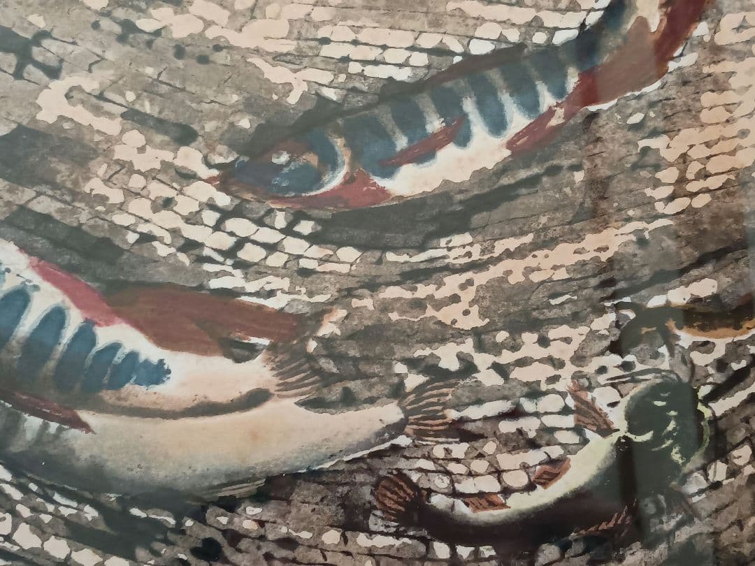 版画家　山口進 ［いわな　版画］