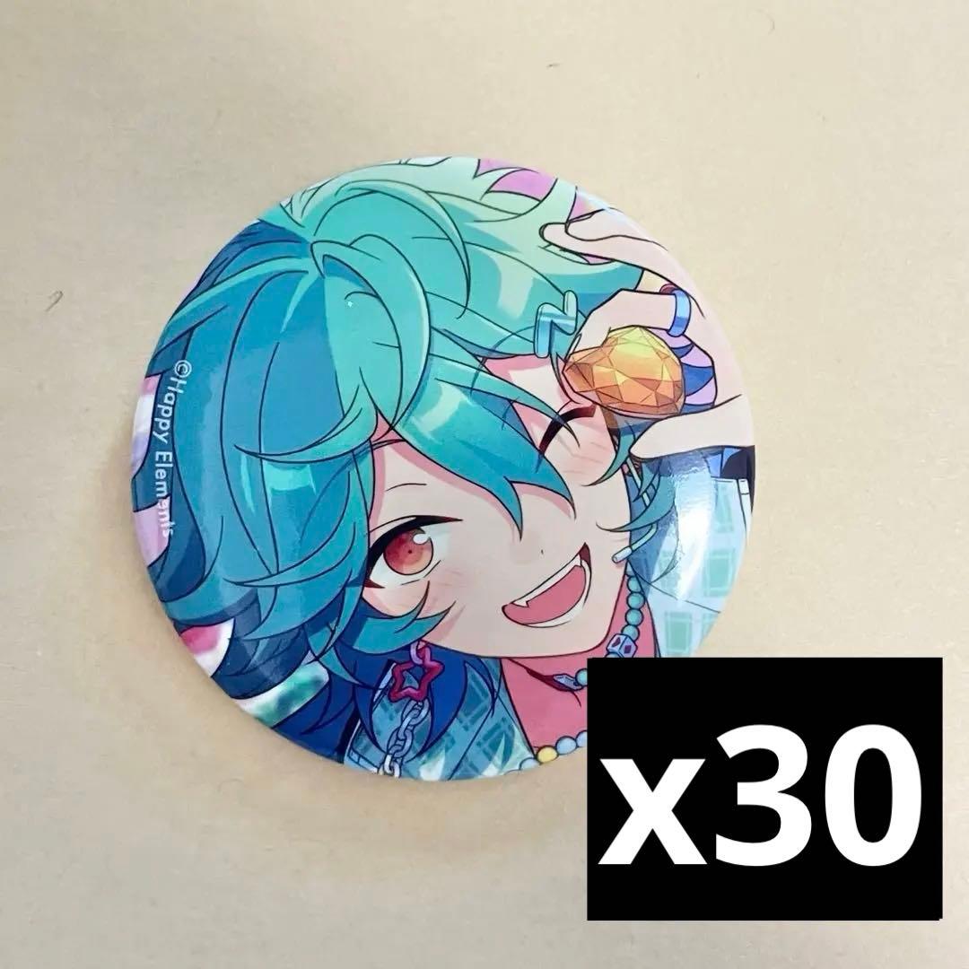 【あんスタ】宝丈 萊香　ライカ　コレクション　缶バッジ idol 30個　B