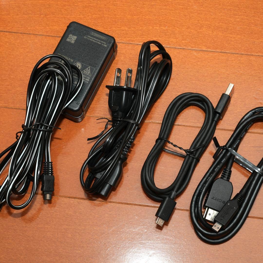 SONY FDR-AX55 4K Handycam 付属品多数