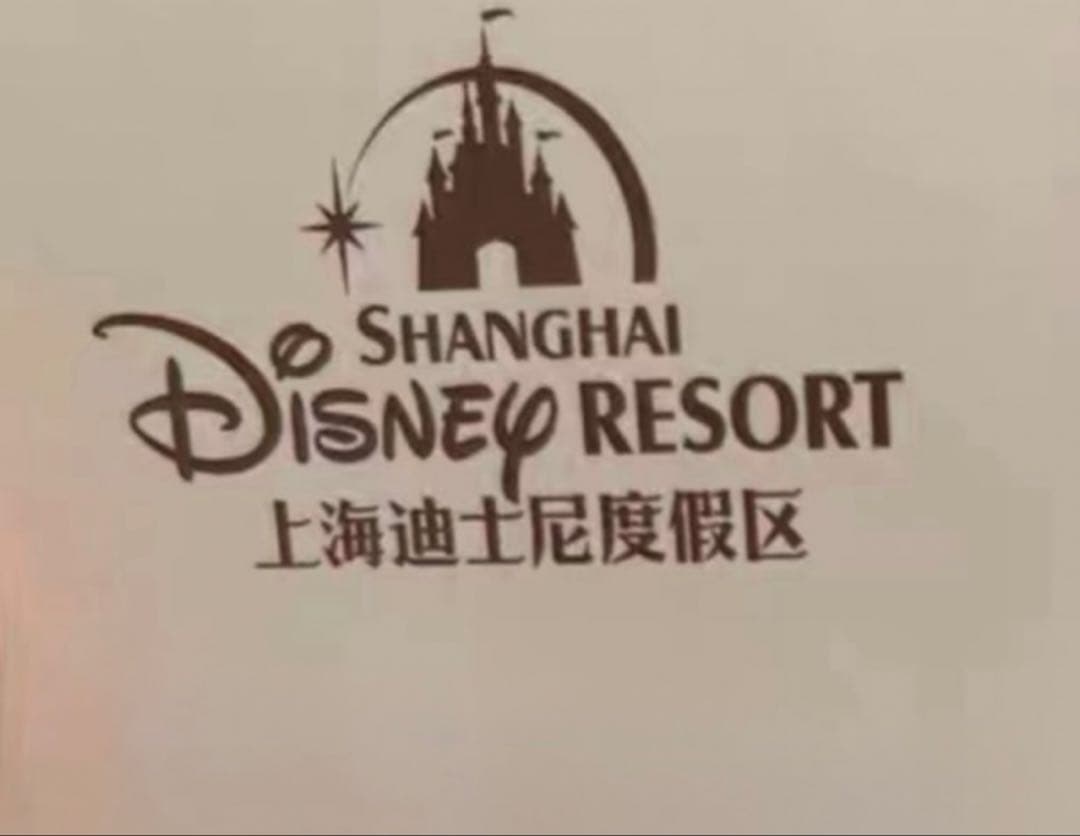 専用　79 上海ディズニー　リラックス2.0 ステラルー　ぬいぐるみSS