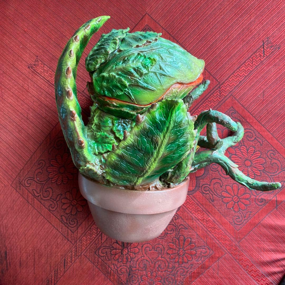 マーミット　オードリー