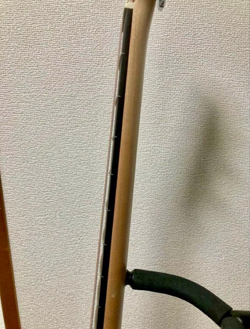 Taylor Academy 10e エレアコ アコースティックギター テイラー